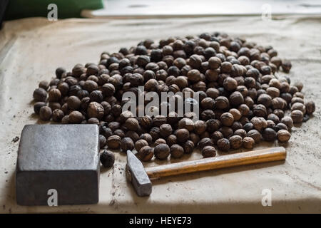 Whole walnuts on old table with anvil and nutcracker hammer Stock Photo