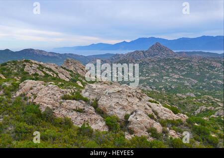 The Desert des Agriates is a barren, wild and beautiful wilderness in the Balagne region of the northern Corsica. This is the dry mountain area covere Stock Photo