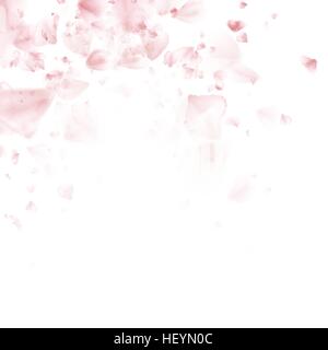 Flying petals. Pattern on white background. EPS 10 Stock Vector