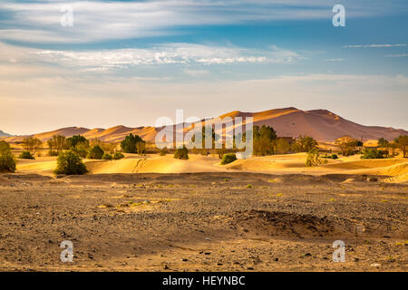 The edge of the Sahara desert in the southwestern part of Morocco Stock Photo