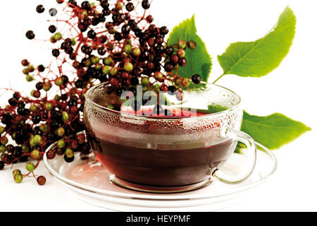 Elderflower tea in glass teacup and a sprig of elderberries Stock Photo