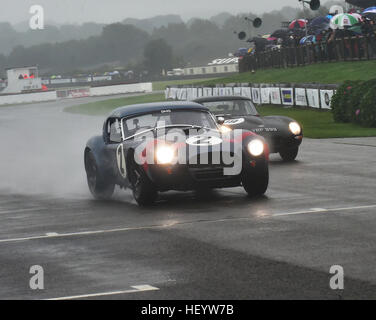 David Hart, Giedo van de Garde, AC Cobra, Martin Stretton, Anthony Reid, Jaguar E-Type, Royal Automobile Club TT Celebration, Goodwood Revival 2016, 2 Stock Photo