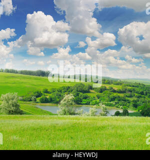 picturesque green field and blue sky Stock Photo