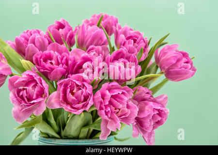 Spring tulip flowers over turquoise background Stock Photo