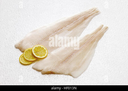 Atlantic Halibut filets, raw (Hippoglossus hippoglossus) Stock Photo