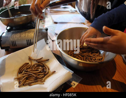 Tokyo, Japan. 24th Dec, 2016. Mealworms are deep fried at a Christmas party to eat insect foods in Tokyo on Saturday, December 24, 2016. Some 30 people gathered to eat insect foods on the Christmas Eve as UN FAO reported that eating insects could help boost nutrition and reduce pollution. © Yoshio Tsunoda/AFLO/Alamy Live News Stock Photo