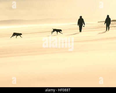 couple of responsible dog owners walking dog on beach in winter with bright sunshine, Dornoch beach, Sutherland, Scotland, UK Stock Photo