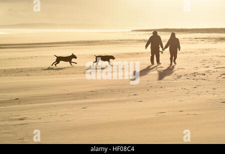 couple of responsible dog owners walking dog on beach in winter with bright sunshine, Dornoch beach, Sutherland, Scotland, UK Stock Photo