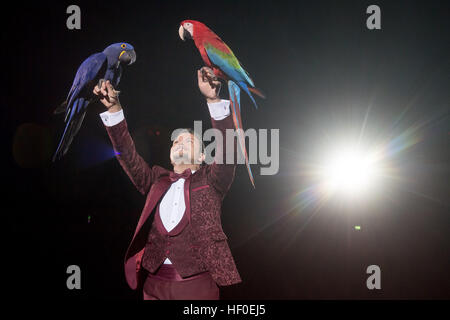 Animal trainer Alessio performs with parrots during the premiere of the Circus Krone winter program in Munich, Germany, 25 December 2016. Photo: Tobias Hase/dpa Stock Photo
