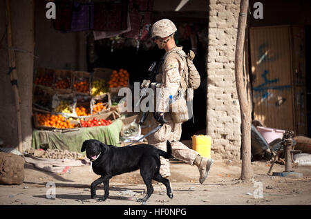 U.S. Marine Cpl. Kyle Click, a dog handler with 3rd Platoon, Kilo Company, 3rd Battalion, 3rd Marine Regiment, and 22-year-old native of Grand Rapids, Mich., walks past a produce vendor with Windy, an improvised explosive device detection dog, during a security patrol here, Feb. 27, 2012. On deployment in Helmand province’s Garmsir district, the ‘America’s Battalion’ dog handlers and their improvised explosive device detection dogs live, travel and work together. In a combat environment largely devoid of the safety and comforts of home, the energetic Labrador retrievers are neither pets nor ex Stock Photo