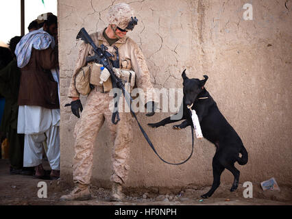 U.S. Marine Cpl. Kyle Click, a dog handler with 3rd Platoon, Kilo Company, 3rd Battalion, 3rd Marine Regiment, and 22-year-old native of Grand Rapids, Mich., plays with Windy, an improvised explosive device detection dog, while halted during a security patrol here, Feb. 27, 2012. On deployment in Helmand province’s Garmsir district, the ‘America’s Battalion’ dog handlers and their improvised explosive device detection dogs live, travel and work together. In a combat environment largely devoid of the safety and comforts of home, the energetic Labrador retrievers are neither pets nor expendable  Stock Photo