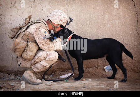 U.S. Marine Cpl. Kyle Click, a 22-year-old improvised explosive device detection dog handler with 3rd Platoon, Kilo Company, 3rd Battalion, 3rd Marine Regiment, and native of Grand Rapids, Mich., shares a moment with his dog Windy while waiting to resume a security patrol here, Feb. 27. During the patrol, the 3rd Platoon Marines partnered with Afghan National Police to search for insurgent activity in Safar Bazaar, Garmsir district’s busiest commercial center. They mentor the ANP in a partnered combat operations center at PB Bury, and patrol with them throughout Safar. The partnership is a vit Stock Photo