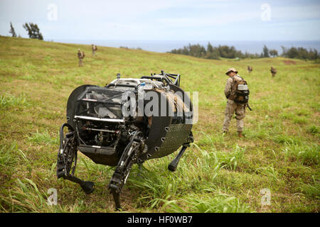 Lance Cpl. Brandon Dieckmann, an infantryman with 3rd Battalion, 3rd Marine Regiment, India Co., and Las Vegas, NV native, leads the Legged Squad Support System (LS3) through an open field at Kahuku Training Area July 10, 2014. The LS3 is experimental technology being tested by the Marine Corps Warfighting Lab during Rim of the Pacific 2014. There are multiple technologies being tested during RIMPAC, the largest maritime exercise in the Pacific region. This year's RIMPAC features 22 countries and around 25,000 people. (U.S. Marine Corps photo by Sgt. Sarah Dietz/RELEASED) Las Vegas Marine test Stock Photo