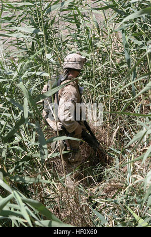 050601-M-3301A-040 Fallujah, Iraq (June 1, 2005) Ð Cpl. John Christ assigned to Sixth Marine Regiment, First Battalion, Bravo Company searches a field during Operation ÒHard KnockÓ. Hard Knock is a counter-insurgency operation along with Iraqi Security Forces designed to isolate and neutralize anti-Iraqi forces. Its ultimate goal is to support the continued development of Iraqi security, assist in reconstruction and oversee democratic elections in order to create a secure government. U.S. Marine Corps photo by Cpl. Robert R. Attebury (RELEASED) US Navy 050601-M-3301A-040 Cpl. John Christ assig Stock Photo