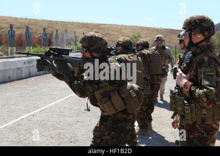 U.S. Marines from Charlie Company, 1st Battalion, 1st Marine Regiment, 1st Marine Division and New Zealand Army Soldiers from 12th Platoon, Delta Company, 2nd 1st Battalion, Royal New Zealand Infantry Regiment participate in shooting drills as a part of Dawn Blitz 2013 at Range 216 on Camp Pendleton, Calif., June 13, 2013. Dawn Blitz 2013 is a multinational amphibious exercise that promotes interoperability between the Navy and Marine Corps and coalition partners, June 11-28. Participating countries include Canada, Japan, New Zealand and observers from seven countries. Dawn Blitz 130613-M-MF31 Stock Photo