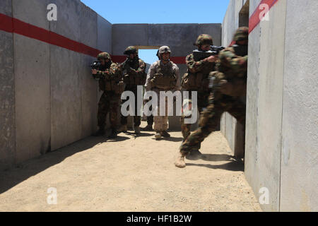 U.S. Marines from Charlie Company, 1st Battalion, 1st Marine Regiment, 1st Marine Division and New Zealand Army Soldiers from 12th Platoon, Delta Company, 2nd 1st Battalion, Royal New Zealand Infantry Regiment participate in shooting drills as a part of Dawn Blitz 2013 at Range 216 on Camp Pendleton, Calif., June 13, 2013. Dawn Blitz 2013 is a multinational amphibious exercise that promotes interoperability between the Navy and Marine Corps and coalition partners, June 11-28. Participating countries include Canada, Japan, New Zealand and observers from seven countries. Dawn Blitz 130613-M-MF31 Stock Photo