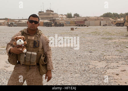 Sgt. Anthony Ortiz, a California native and combat cameraman with Combat Logistics Regiment 2, Regional Command (Southwest), poses with a teddy bear at a base in Helmand province, Afghanistan, Aug. 15, 2013. Ortiz took the doll with him during his missions in the province before sending it home to his daughter for her third birthday. Captured moments, Marine father carries daughterE28099s birthday gift throughout Afghanistan 130815-M-XX123-006 Stock Photo