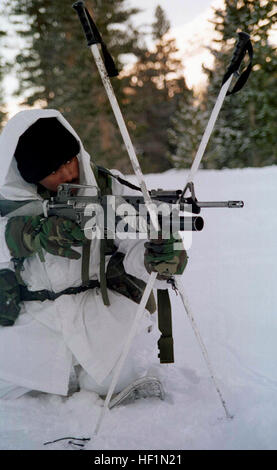 970208-M-8708Y-004 A 1st Platoon,  Lima Company Marine uses his ski poles to steady his M-16A2 rifle during a live fire exercise at the Mountain Warfare Training Center, Bridgeport, Calif., on Feb. 8, 1997.  Marines from the  2nd Marine Regiment and 3rd Battalion, 8th Marines of Camp Lejeune, N. C., were at the Center to train in cold weather survival and arctic warfare.  This M-16A2 is equipped with a M-203 40 mm grenade launcher.  DoD photo by Lance Cpl. E.J. Young, U.S. Marine Corps. Sturmgewehr M16A2 mit Granatwerfer Stock Photo