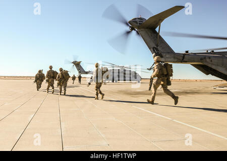two company 1st marine helicopters battalion ch corps alpha knight sea marines alamy bravo 5th division