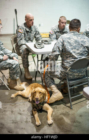 Rosco, a post-traumatic stress disorder companion animal lays at the feet of his owner, Sgt. 1st Class Jason Syriac, a military police officer with the North Carolina National Guard's Headquarters and Headquarters Company, 130th Maneuver Enhancement Brigade, at his unit's armory in Charlotte, N.C., Jan. 11. Syriac took time to talk to other soldiers at the armory about the benefits of a companion animal for service members with PTSD and how he rescues dogs from high-kill shelters to be trained for other service members. (U.S. Army National Guard Photo by Staff Sgt. Mary Junell, 130th Maneuver  Stock Photo