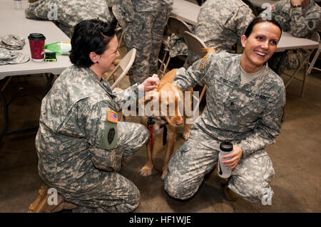 Sgt. 1st Class Meredith Kiser, left, and Spc. Natalia Storr, both with the North Carolina National Guard's Headquarters and Headquarters Company, 130th Maneuver Enhancement Brigade, kneel on the ground and pet Rosco, a post-traumatic stress disorder companion animal at their unit in Charlotte, N.C., Jan. 11. Rosco's handler, Sgt. 1st Class Jason Syriac, a military police officer with HHC, 130th MEB, brought the dog with him to the unit to raise awareness of the benefits a companion animal can bring to service members with PTSD. (U.S. Army National Guard Photo by Staff Sgt. Mary Junell, 130th M Stock Photo