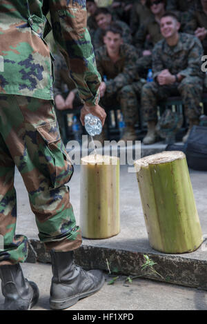 Royal Thai Marine Lt. Pranom Yodruk pours water into a trunk that is indigenous to Thailand to show how the filtration system is utilized during jungle survival training for Exercise Cobra Gold 2014 at Camp Lotawin, Kingdom of Thailand Feb. 11. In the 33rd year for Cobra Gold, these training evolutions are ways for Thai Marines to teach different nations how they train. Yodruk is a jungle survival class instructor with Reconnaissance Battery, Royal Thai Marine Corps. (U.S. Marine Corps photo by Cpl. Zachary Scanlon/Released) Marines learn to survive in E2809Cthe bushE2809D 140212-M-TH017-002 Stock Photo