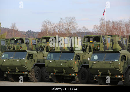 Norwegian Bandvagn 206s loaded onto U.S. Marine Logistics Vehicle System Replacements await shipment to staging areas for Cold Response 2014 at Vaernes Garrison, Norway, March 1, 2014. The consolidation of forces gave service members from both nations an experience from which Marines and soldiers at every level could learn. Cold Response 2014 is a Norwegian-led multinational exercise above the Arctic Circle designed prepare for crisis-response operations. Cold calculations, 2nd Supply Bn. prepares for Arctic training part 3 140301-M-DS159-053 Stock Photo