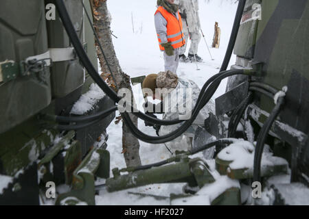 Sergeant Michael Hall, a platoon leader with Golf Company, 2nd Battalion, 2nd Marine Regiment, 2nd Marine Division and Sharptown, Md., native cuts down a tree that blocked the route of a Bandvagn 206 during a pre-environmental training field exercise to prepare them for exercise Cold Response 2014. Marines and Norwegian soldiers spent three days learning to work together and how to operate in the Norwegian winter environment to prepare the Marines and soldiers for Exercise Cold Response, which is a multinational and multilateral training exercise. The exercise will feature various types of mil Stock Photo