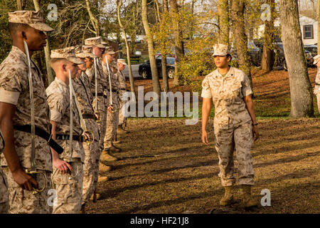 Sgt. Jamie Gordon (right), a Rockland County, N.Y., native and instructor with 2nd Marine Logistics Group's Corporal's Course, walks a line of noncommissioned officers, making sure they are executing sword movements with precision aboard Camp Lejeune, N.C., March 20, 2014. Gordon helped test the Marines on their knowledge of sword manual procedure and form the following day. CorporalE28099s Course forges next generation of Marine NCOs 140320-M-IU187-005 Stock Photo