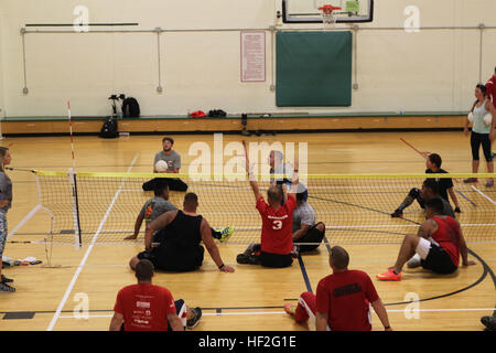 The Marine sitting volleyball team trains in Colorado Springs on September 18, 2014, for the Warrior Games, building team cohesion, preparing for competition, and supporting active duty and veteran wounded, ill, and injured personnel of the Wounded Warrior Regiment. Stock Photo