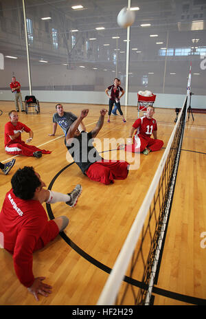 Marines participate in sitting volleyball practice on September 26 in preparation for the 2014 Warrior Games in Colorado Springs. The team trains to build cohesion and adapt to high altitude conditions, consisting of active duty and veteran wounded, ill and injured Marines supported by the Wounded Warrior Regiment. Stock Photo