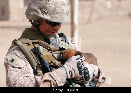 090211-M-0895M-186 KABANI, Iraq (Feb. 11, 2009) Hospital Corpsman 2nd Class Ryan K. Pule holds a puppy he found in the streets of Al Kabani during a ribbon cutting ceremony at Ashoor Primary School. (U.S. Marine Corps photo by Sgt. Richard L. McCumber III/Released) US Navy 090211-M-0895M-186 Hospital Corpsman 2nd Class Ryan K. Pule holds a puppy he found in the streets of Al Kabani Stock Photo