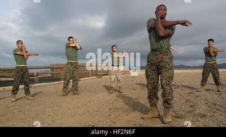 Approximately 40 Marine Recruiting Station San Diego officer candidates and applicants complete an obstacle course to push them physically followed by a six-stall leadership reaction course to test them mentally aboard Marine Corps Base Camp Pendleton, Calif., Nov. 14. The LRC is an obstacle course that forces participants to work as a team while being evaluated on their leadership styles and skills. Future Marine officers prep mentally, physically 141114-M-UP717-555 Stock Photo