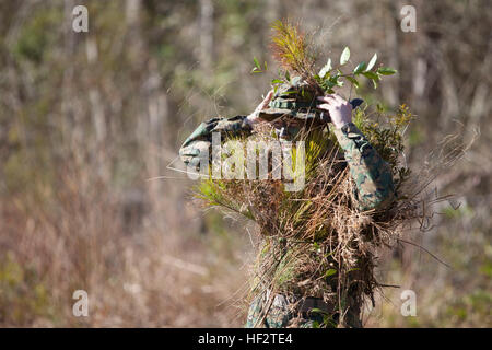 U.S. Marine Corps Lt. Col. Timothy R. Dremann, Commanding Officer, Advanced Infantry Training Battalion, School of Infantry-East adjusts his camouflage before an 800m stalk on Camp Lejeune, NC, Jan. 21, 2015. Officers and Staff NCOs underwent training normally taught to snipers that required each Marine to advance 800 meters, set up, and identify a target all while remaining undetected. (U.S. Marine Corps photo by SOI-East Combat Camera, Lance Cpl. Andrew Kuppers/ Released) School of Infantry Officers and Staff NCOs undergo Scout Sniper Training 150121-M-NT768-007 Stock Photo