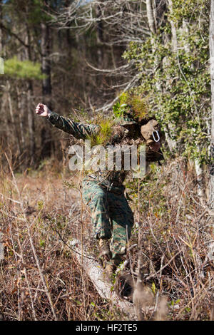 U.S. Marine Corps Lt. Col. Timothy R. Dremann, Commanding Officer, Advanced Infantry Training Battalion, School of Infantry-East jumps across a log during an 800m stalk on Camp Lejeune, NC, Jan. 21, 2015. Officers and Staff NCOs underwent training normally taught to snipers that required each Marine to advance 800 meters, set up, and identify a target all while remaining undetected. (U.S. Marine Corps photo by SOI-East Combat Camera, Lance Cpl. Andrew Kuppers/ Released) School of Infantry Officers and Staff NCOs undergo Scout Sniper Training 150121-M-NT768-008 Stock Photo