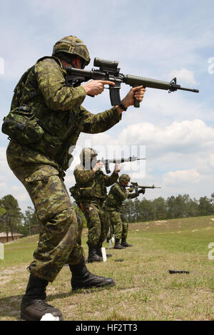 Canadian soldiers participate in rifle drills during Partnership of the Americas 2009 at Camp Blanding, Fla., April 16, 2009. Partnership of the Americas 2009, a multiservice, multinational exercise, is the oldest combined exercise within the U.S. Department of Defense. Marines with the 24th Marine Regiment conduct training exercises with marines from Brazil, Chile, Colombia, Mexico, Peru and Uruguay and soldiers from Canada as a part of Special Purpose Marine Air Ground Task Force 24. More than 25 ships, 50 rotary and fixed-wing aircraft, 650 Marines, 6,500 Sailors and four submarines will pa Stock Photo