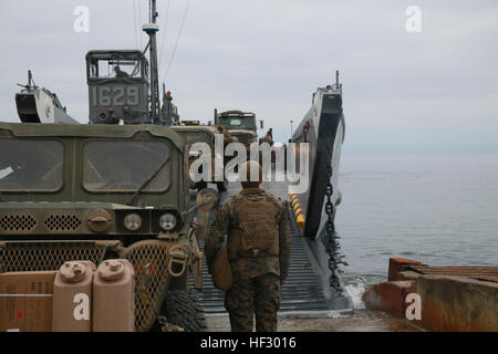 U.S. Marines with Battery 'E', 2nd Battalion, 11th Marine Regiment and members of the Japan Ground Self Defense Force travelled to San Clemente Island where they conducted live-fire mortar training as part of Exercise Iron Fist on Feb. 22, 2015. Exercise Iron Fist 2015 is the 10th anniversary of a bilateral training exercise between the U.S. Marine Corps and the Japan Ground Self-Defense Force, meant to strengthen interoperability between the two militaries. (U.S. Marine Corps photo by Sgt. Paris Capers/ Released) US Marines and JGSDF punch through Iron Fist 150221-M-NI439-677 Stock Photo