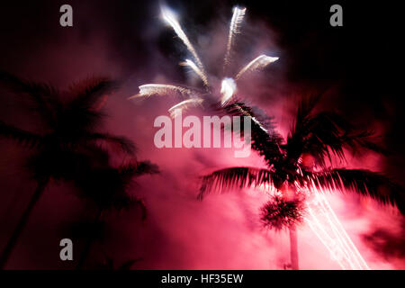 SCHOFIELD BARRACKS, Hawaii –Palm trees silhouette the fireworks show during the 4th of July celebration at Weyand Field, here.  Thousands of people picnicked on the parade field to enjoy Hawaii’s biggest 4th of July Celebration. (U.S. Army Photo by Spc. Marcus Fichtl) Flickr - DVIDSHUB - Schofield Barracks Hawaii Fireworks Show (Image 3 of 7) Stock Photo