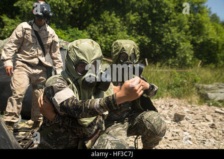 Republic of Korea Marines quickly put on gas masks June 3 at Doksukri Training Area, Republic of Korea, during Korean Military Exchange Program 15-9. U.S. and ROK Marines took nuclear, biological and chemical individual safety measures while practicing water purification procedures in midst of a simulated attack. The ROK Marines are with Engineer Battalion, 1st ROK Marine Division. The U.S. Marines are with 9th Engineer Battalion, 3rd Marine Logistics Group, III Marine Expeditionary Force. (U.S. Marine Corps photo by Cpl. Joey S. Holeman, Jr./ Released) US, ROK Water Dogs train for NBC Hazards Stock Photo