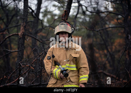 Senior Airman Brandon L. Ehlers, a firefighter with the 106th Rescue Wing, sprays down a burned area of woods with water on Aug. 21, 2015, in Westhampton Beach, N.Y. Multiple agencies and fire departments responded to a major brushfire in this area. Firefighters from the 106th visited to check for hot spots, a serious concern given the otherwise dry weather over the last week. The four acre fire destroyed a large swath of land outside FS Gabreski ANG just off Old Riverhead Road, requiring a multi-agency response, including eight brush trucks, seven tankers and fourteen different departments wo Stock Photo