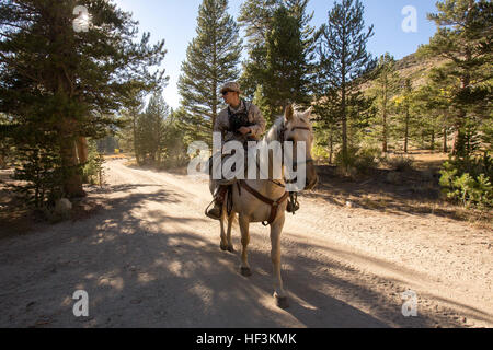 Animal packers course hi-res stock photography and images - Alamy