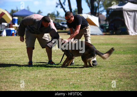 Schutzhund handler hot sale training vest