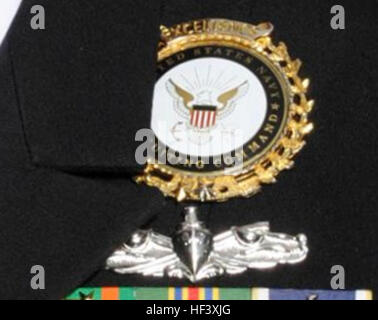 Example-Navy Recruiting Command Gold Wreath Award Stock Photo - Alamy