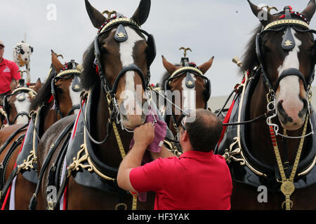 Anheuser-Busch on X: Clydesdales hitch 🤝 first pitch. It's