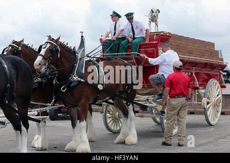 Anheuser-Busch on X: Clydesdales hitch 🤝 first pitch. It's