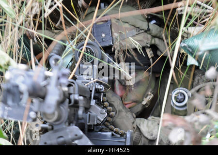 PANEVEZYS, Lithuania – Private 1st Class Benjamin Grasso, Able Company, 2nd Battalion, 503rd Infantry Regiment (Airborne), 173rd Infantry Brigade Combat (Airborne), scans his sectors of fire Oct. 22 during Exercise Strong Shield. The exercise, which ran through Oct. 23, is a Lithuanian hosted 96-hour continues exercise designed to test the nation’s ability to work with different internal and external agencies to marshal their capabilities and defend their position. Paratroopers from Able Company are in Lithuania training with their Lithuanian partners as part of Atlantic Resolve. Atlantic Reso Stock Photo