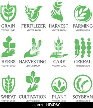 Isolated abstract green color wheat ear logo collection. Nature element logotype set. Leaf in human hand icon. Agricultural organic products signs. Harvesting vector illustration. Stock Vector