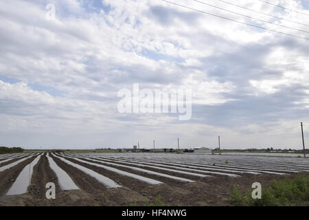 Greenhouses made of polymer film. Early spring in the garden greenhouses. Stock Photo