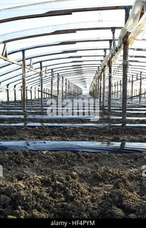 Greenhouses made of polymer film. Early spring in the garden greenhouses. Stock Photo