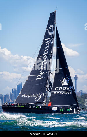 Sydney, Australia. 26th Dec, 2016. Anthony Bell's 'Perpetual Loyal' pictured following the start of the Rolex Sydney Hobart Yacht Race with the firing of a starting cannon at 1.00pm in Sydney Harbour on Boxing Day, 26 December. © Hugh Peterswald/Pacific Press/Alamy Live News Stock Photo